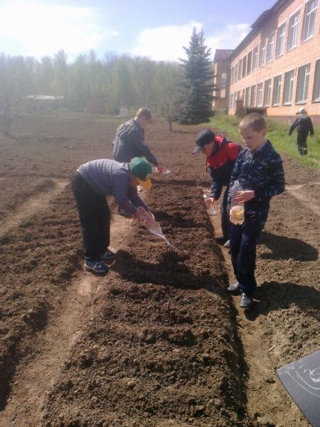 Самый трудолюбивый класс!